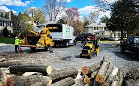 Trusted Prospect Heights, IL Tree Services Experts